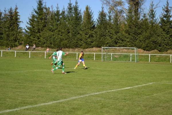 Punktspiel 2011 Immelborn - FSV