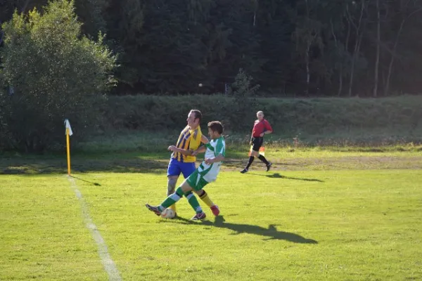 Punktspiel 2011 Immelborn - FSV