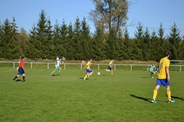 Punktspiel 2011 Immelborn - FSV