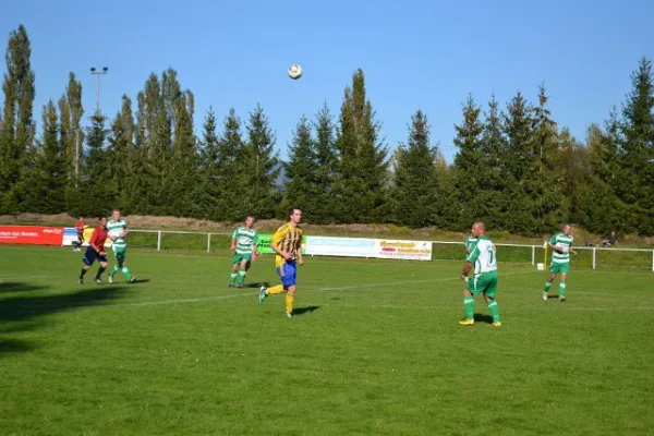 Punktspiel 2011 Immelborn - FSV