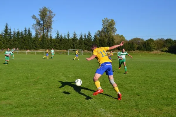 Punktspiel 2011 Immelborn - FSV