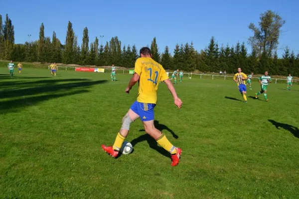 Punktspiel 2011 Immelborn - FSV