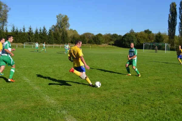 Punktspiel 2011 Immelborn - FSV