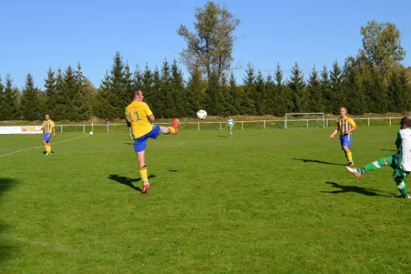 Punktspiel 2011 Immelborn - FSV