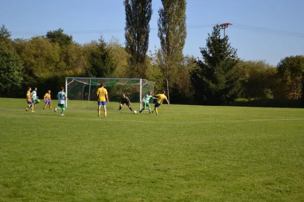 Punktspiel 2011 Immelborn - FSV