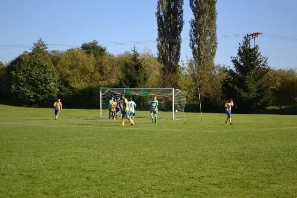 Punktspiel 2011 Immelborn - FSV