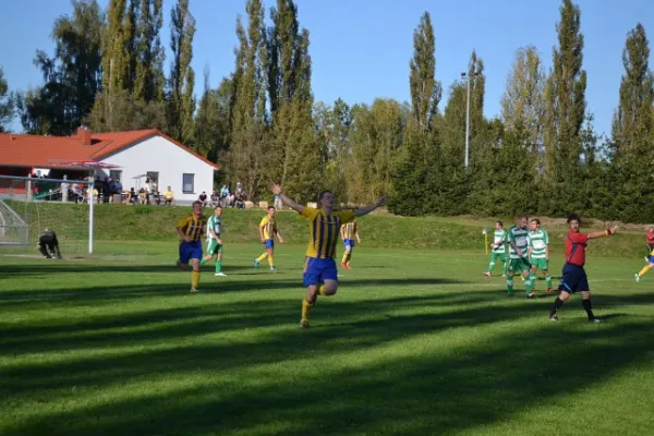 Punktspiel 2011 Immelborn - FSV