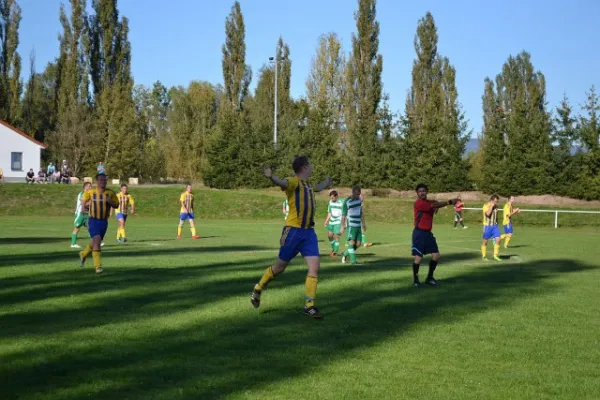 Punktspiel 2011 Immelborn - FSV