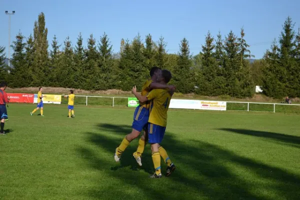 Punktspiel 2011 Immelborn - FSV