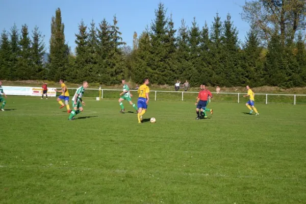 Punktspiel 2011 Immelborn - FSV