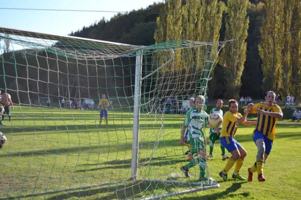Punktspiel 2011 Immelborn - FSV