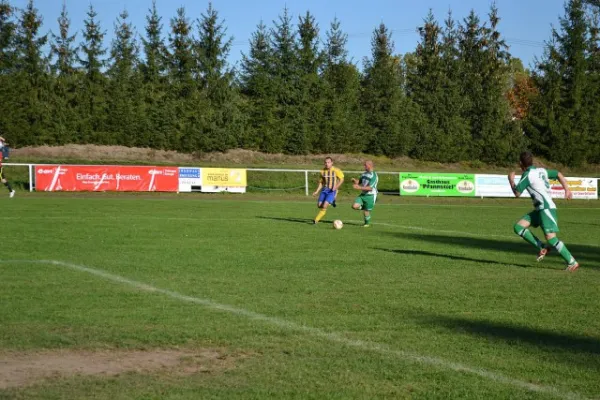 Punktspiel 2011 Immelborn - FSV