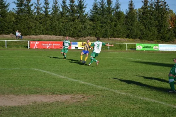 Punktspiel 2011 Immelborn - FSV