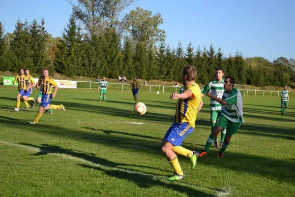 Punktspiel 2011 Immelborn - FSV