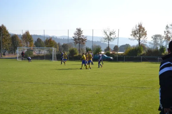 Punktspiel 2011 Geismar - FSV