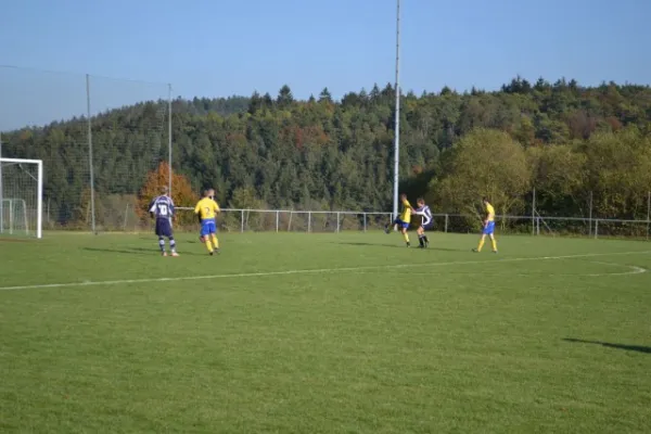 Punktspiel 2011 Geismar - FSV