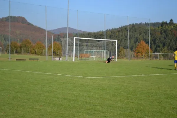 Punktspiel 2011 Geismar - FSV