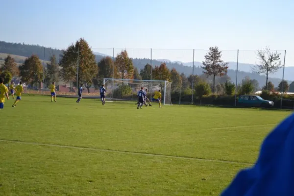 Punktspiel 2011 Geismar - FSV