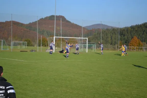 Punktspiel 2011 Geismar - FSV