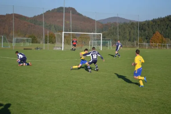 Punktspiel 2011 Geismar - FSV