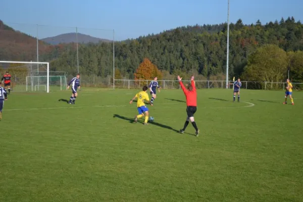 Punktspiel 2011 Geismar - FSV