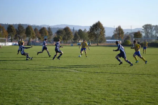 Punktspiel 2011 Geismar - FSV