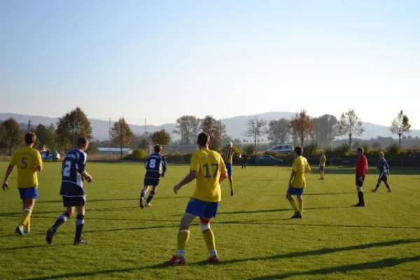 Punktspiel 2011 Geismar - FSV