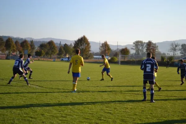 Punktspiel 2011 Geismar - FSV