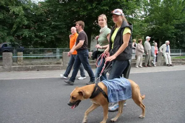 Umzug 100 Jahre FSV Teil II